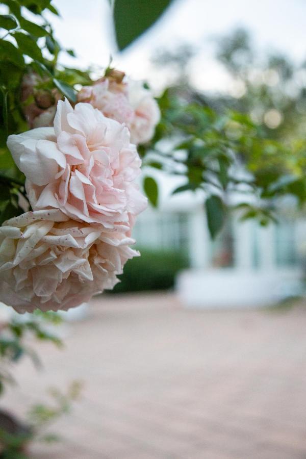 Villa Verde Oesterlen Glemminge 외부 사진